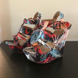 Bright Multicolored Wedges